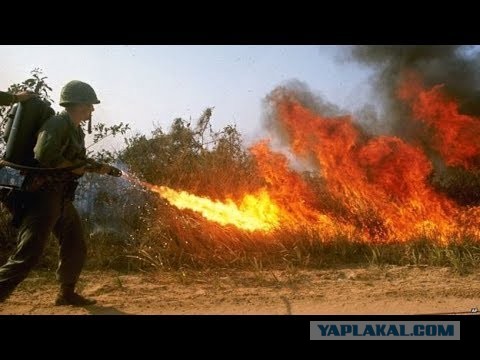 Это Франция, где 31 августа граждане Франции широко отмечали  праздник в честь Ганеша