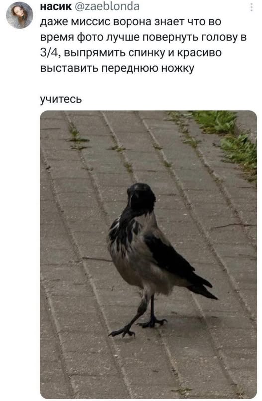 Пятничные бояны