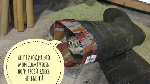 ⚡ Внимание, Москва! ⚡СоПогИ* в коллаборации с МЧС предупреждает!!