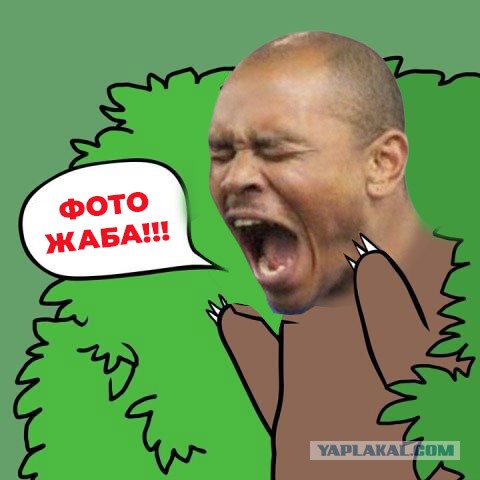 Фотожаба: Ща спою!