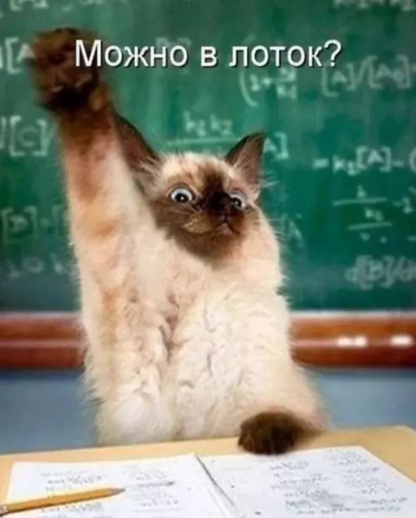 Картиночки, баянчики 22 апреля