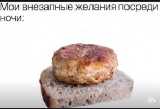 ЭтаНиБургеры