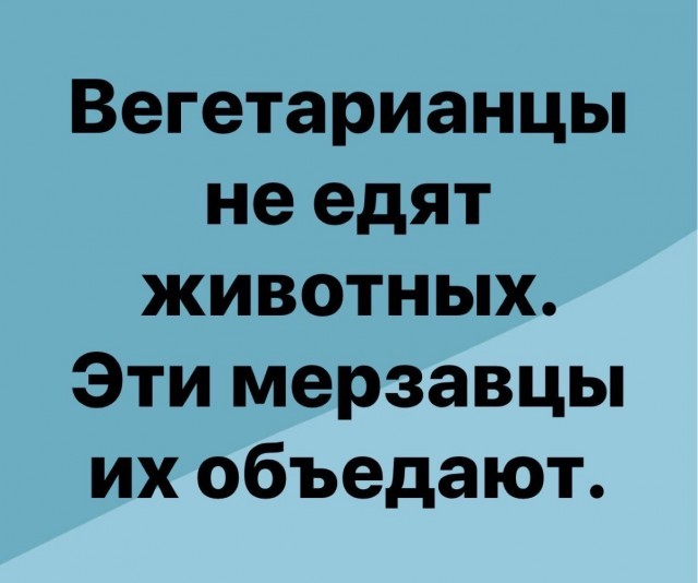 Картинки для деградации 244 (разной степени свежести)
