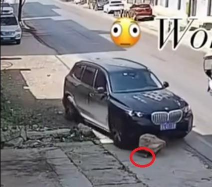 Она была настойчива и не сдавалась до последнего