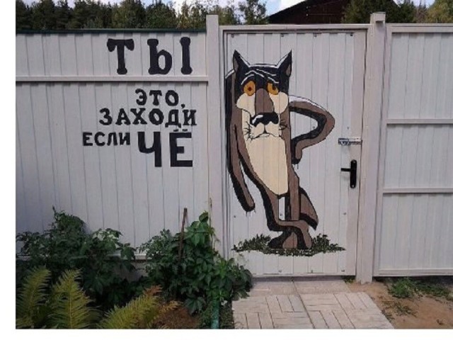 Так себе картинки 22.08.26