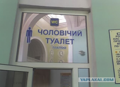 Маразмы года 2013