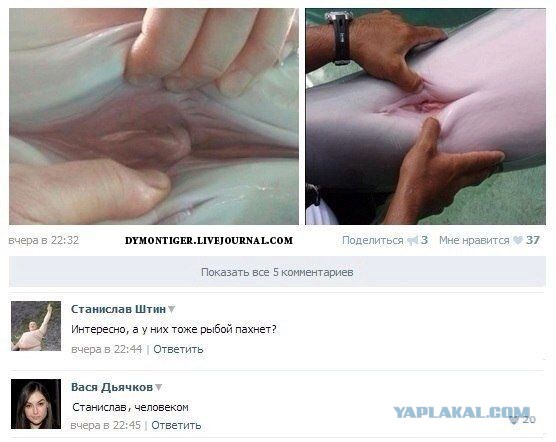 Смешные комментарии из социальных сетей