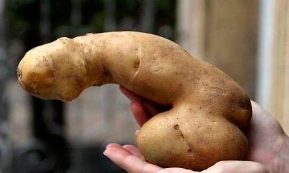 Ролик "Азбука" с открытия Игр в Сочи