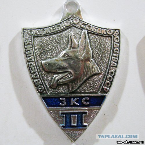 Штурм РКК "Энергия" г. Королев