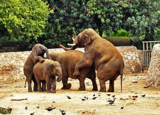Подборка забавных и курьезных фотографий