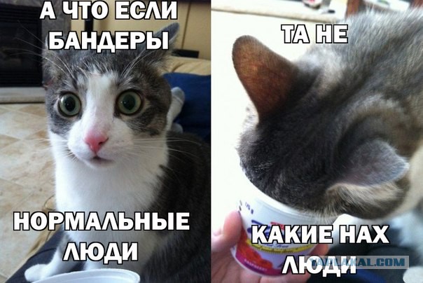 Где-то в (на) Украине