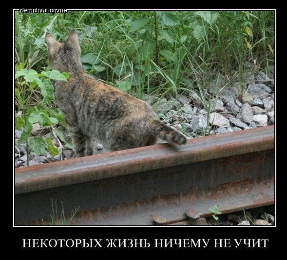 Ряд стран опасаются, что будут ответные меры