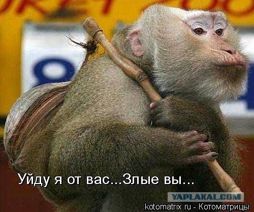 Мой муж - извращенец
