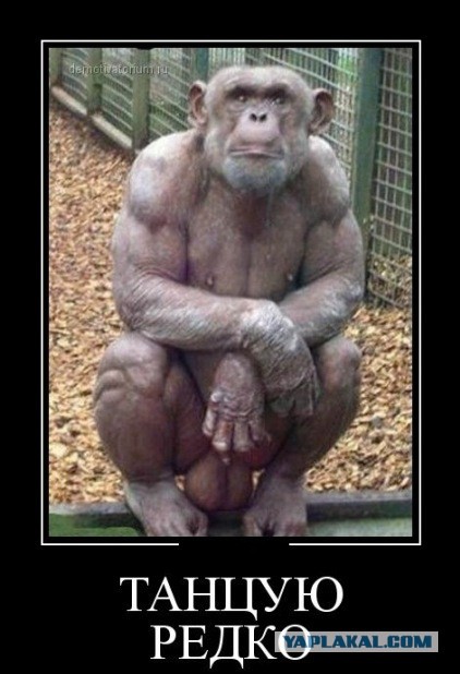 27 преимуществ жить в своем доме!