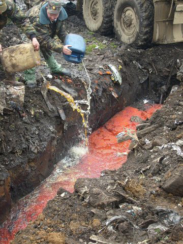 Как сгорает тонна красной икры