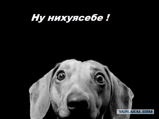 Электронные сигареты