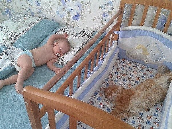 Немного позитива на пятницу.