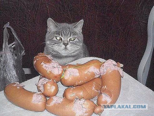 Прикольные картинки на понедельник .