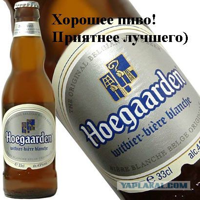 Пиво. Какое пиво вы предпочитаете?