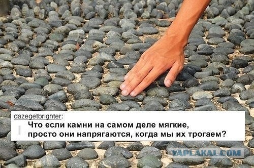 Подборка веселых картинок