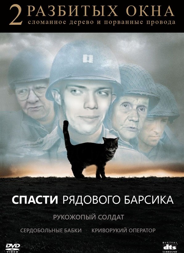 Спасение кота