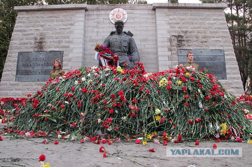 Видеоролик про российского туриста в Эстонии.