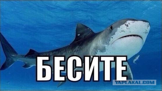 Беспредел в Ростове-на-Дону