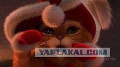 Кошачья версия "Рапунцель"