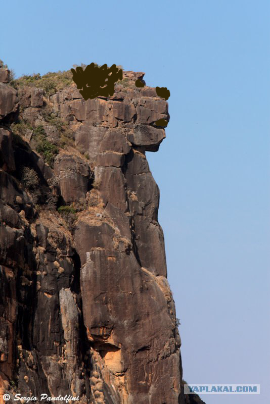 В Египте открыли некрополь Серапеум