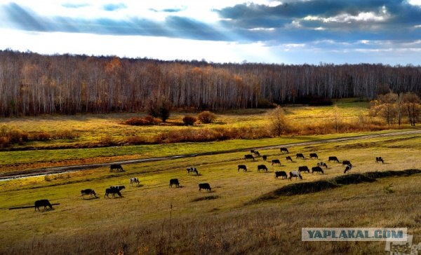 Фотопроект Best of Russia 2012