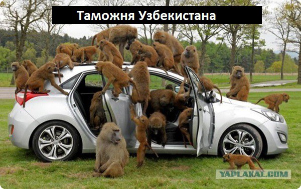 Мерзкое отношение на границе Узбекистана