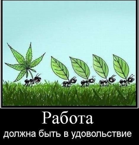 Как создать собственную колонию муравьев