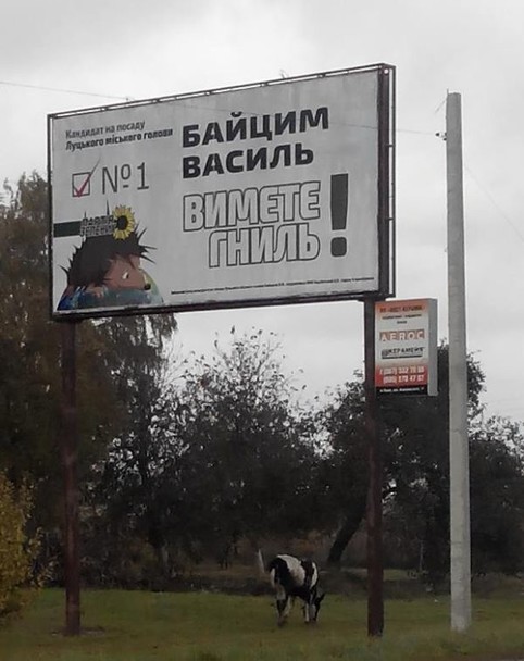 Выборы-выборы! Кандидаты... молодцы.