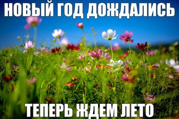 Картинки на утро вторника