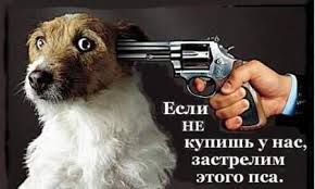 Челябинский полицейский приставил нож к горлу котенка