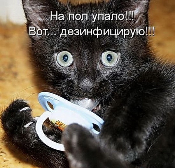 Весёлые картинки