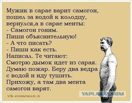 Картинки из сети, подборка на пятницу.