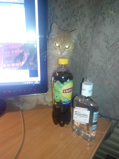 ПЯТНИЦА! А ты готов к похмелью?