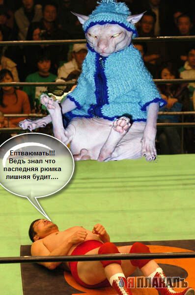 Фотожаба: Борец