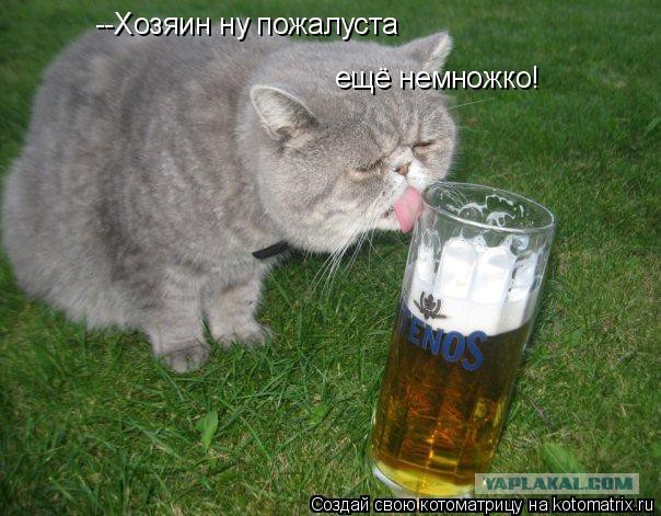 Пивной сомелье