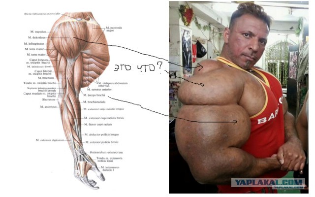 Никогда не понтуйся в спортзале