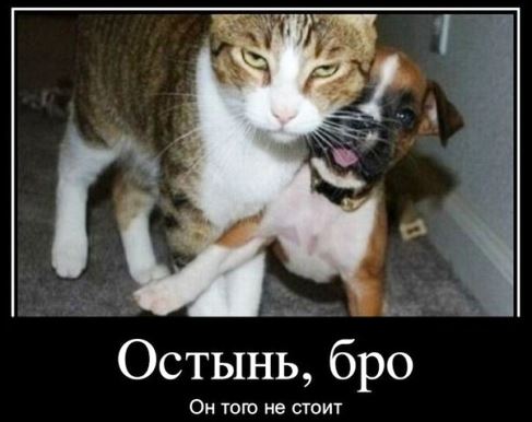 Хозяин на районе вписался за братана!