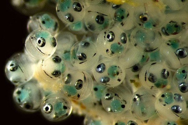 Подборка картинок