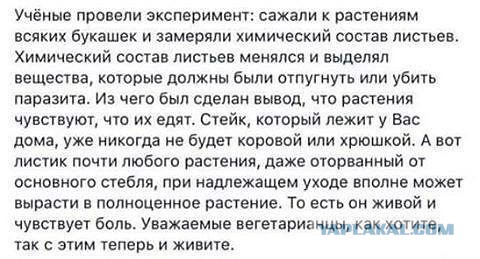Дети веганов обречены