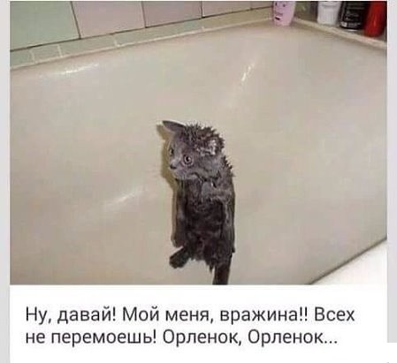 Смешные комментарии 01.08.2016