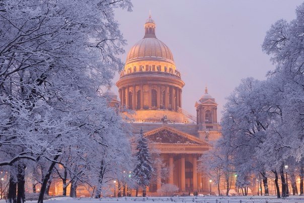 Порция картинок