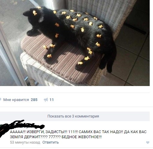 Ужасы и приколы из соцсетей 18+