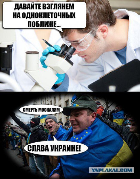 Командир ополчения ДНР Моторола погиб в Донецке
