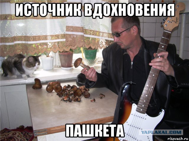 Прощальное видеописьмо Пашкета...