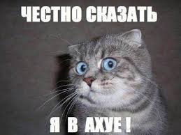 Мастер стиля дворовой пятки и "пикирующего" петуха
